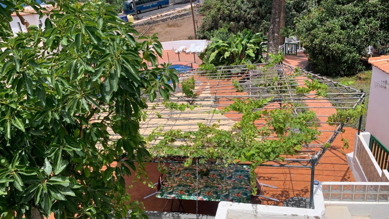 Apartamentos Villa Aurora Valle Gran Rey Dış mekan fotoğraf