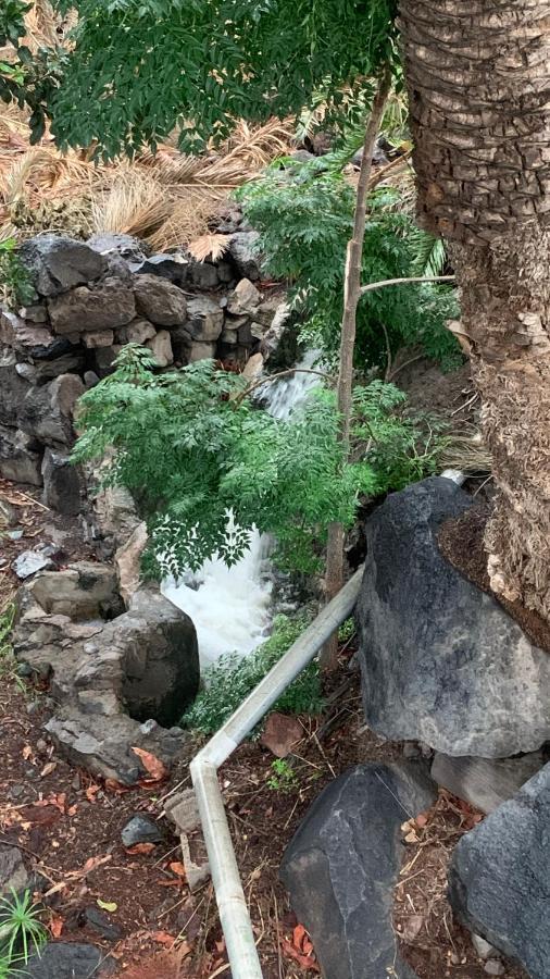 Apartamentos Villa Aurora Valle Gran Rey Dış mekan fotoğraf